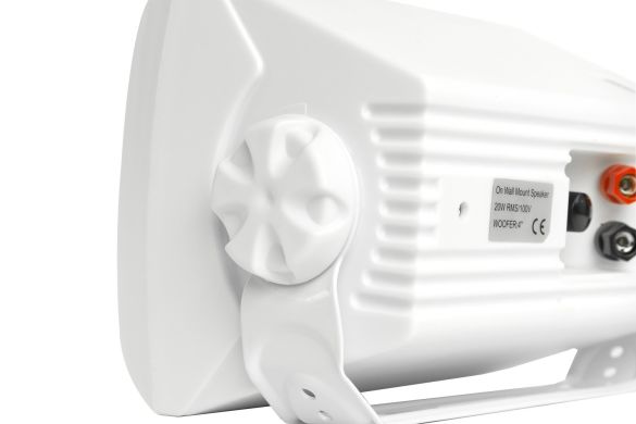 Всепогодна настінна акустична система 4all Audio WALL 420 IP  72261 фото