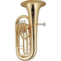 STAGG P WS-EP245S 89505 фото