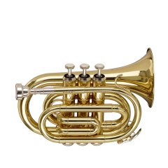 STAGG P WS-TR245S 89509 фото