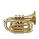 STAGG P WS-TR245S