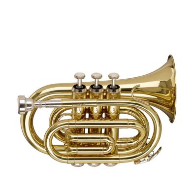 STAGG P WS-TR245S 89509 фото