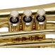STAGG P WS-TR245S