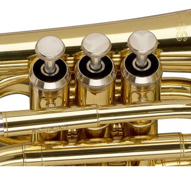 STAGG P WS-TR245S 89509 фото