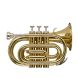 STAGG P WS-TR245S