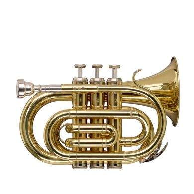STAGG P WS-TR245S 89509 фото