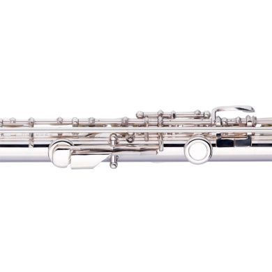 STAGG P WS-FLL111 89520 фото