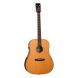 Электроакустическая гитара TANGLEWOOD TRS5 SE