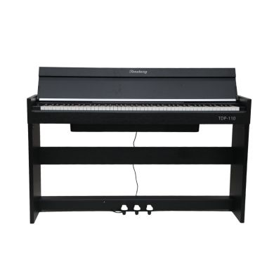 TDP-110 BK 89577 фото