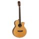 Електроакустична гітара TANGLEWOOD TJ4 CE
