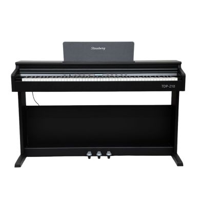 TDP-210 BK 89578 фото
