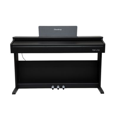 TDP-210 BK 89578 фото