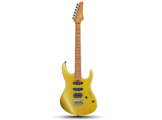 Donner Music DST-700 HSS Gold EC6817 87595 фото